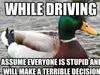 The Genius Of Actual Advice Mallard