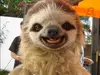 The Best Viral Pictures of the Week, Volume 10