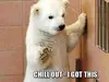 The Best Viral Pictures Of The Week, Volume 12