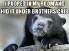 The 20 Most Ridiculous Confession Bear Memes
