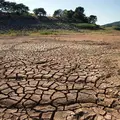 São Paolo Is Drying Up: Brazil’s Water Crisis