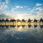 What We Love This Week, Volume XCVII