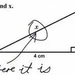 29 Genius Test Answers So Wrong They’re Right