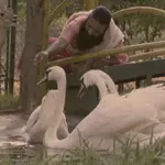 A Real Man Of Nature