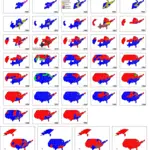 The History Of United States Elections