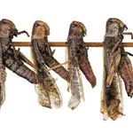 Neil Setchfield's Stomach-Churning Food Photography