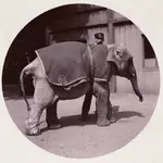 The World's First Kodak Moments