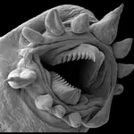 Ahhhh! Real Monsters!