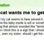 Eight Ridiculously Hilarious Yahoo Answers