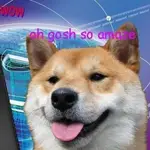 The Best Of The Hilarious Shibe Meme