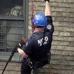 32 Moments That Could Happen Only In New York City