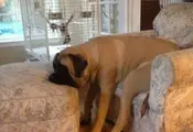 Just a lazy, dog-day afternoon.