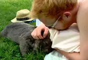 A Pet Wombat