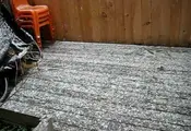 Cat Is Completely Confused By Snow