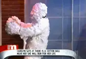 The 20 Best Daytime Television Videos Ever