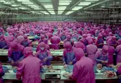 Overconsumption