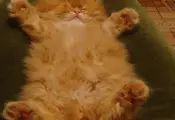 He Just Wants A Hug