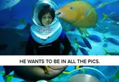Gavin The Awesome Fish