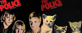 The Bizarrely Awesome Kitten Covers The Bizarrely Awesome Kitten Covers