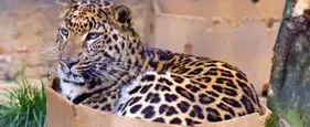 The Best Viral Pictures Of The Week, Volume 4 The Best Viral Pictures Of The Week, Volume 4