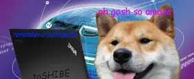 The Best Of The Hilarious Shibe Meme The Best Of The Hilarious Shibe Meme