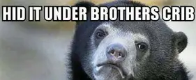 The 20 Most Ridiculous Confession Bear Memes The 20 Most Ridiculous Confession Bear Memes