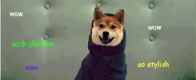 The Best Of The Doge Meme The Best Of The Doge Meme