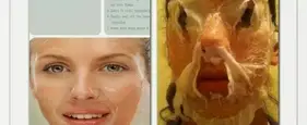 Because Pinterest Projects Are Hard: 35 People Who Nailed It Because Pinterest Projects Are Hard: 35 People Who Nailed It