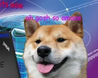 The Best Of The Hilarious Shibe Meme