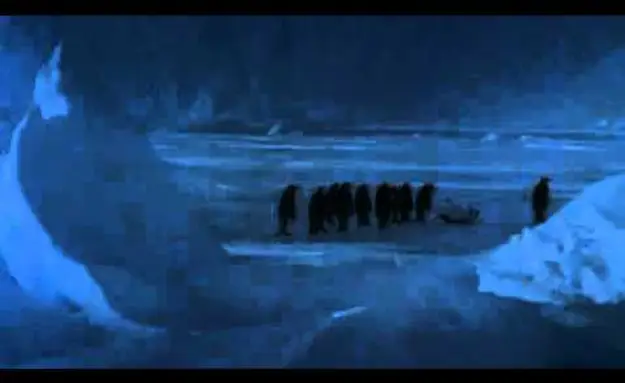 A Penguin Slips