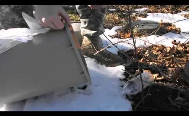 Why You Don’t Release A Mouse Outdoors