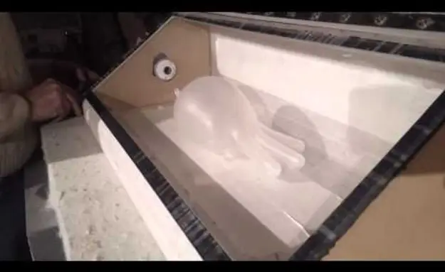 Science Experiment Goes Bam