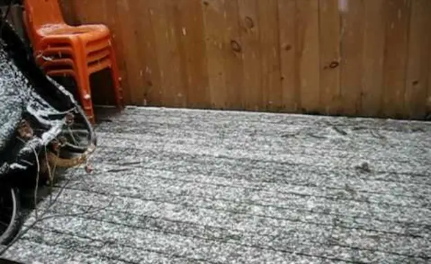 Cat Is Completely Confused By Snow