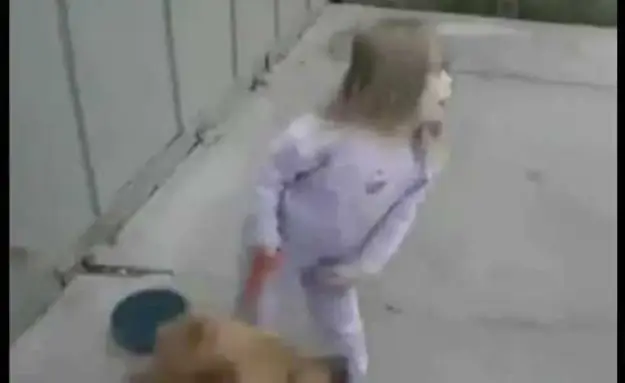 Little Girl Eats Dirt After Dog Sprints Off