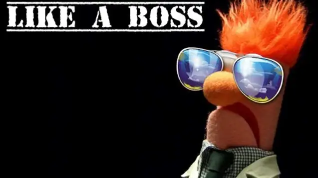 like-a-boss.jpg